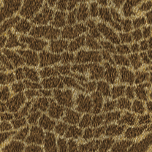Variation 5