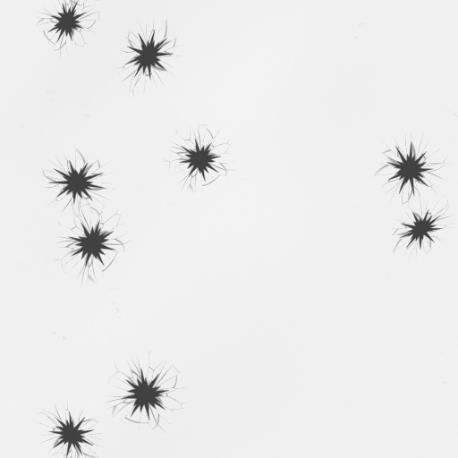 Bump Map