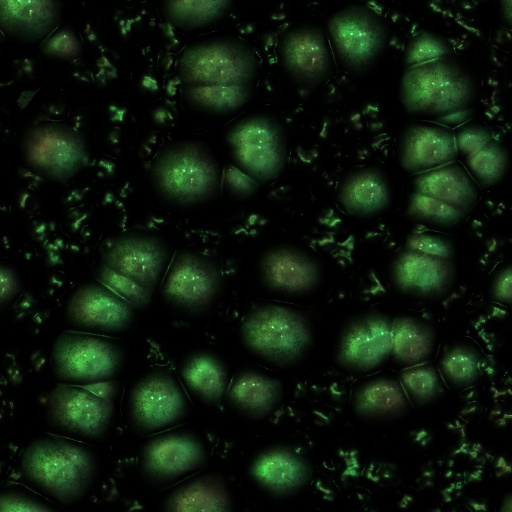 Variation 1