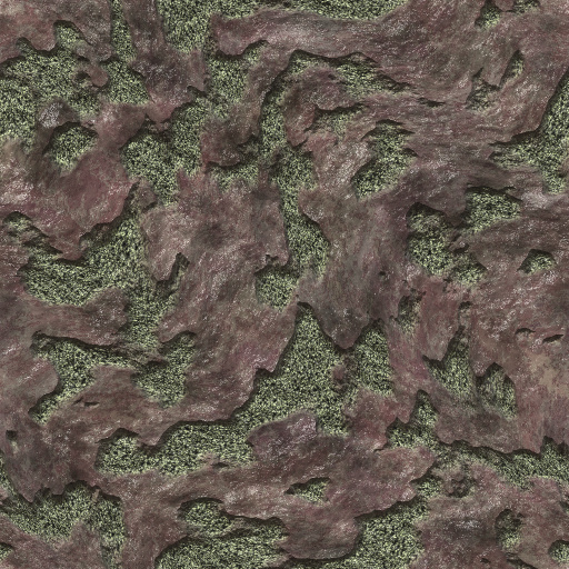 Variation 7