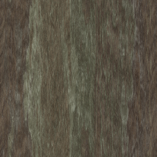 Dry tree bark (Texture)