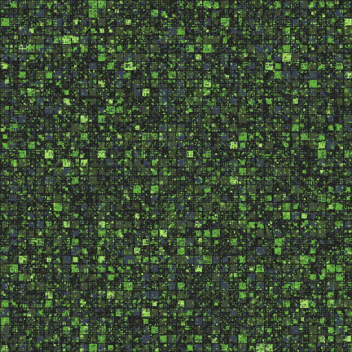 Variation 6