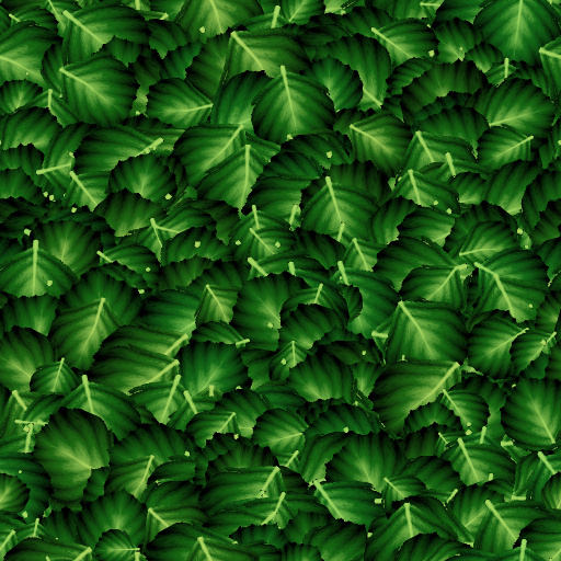 Variation 5