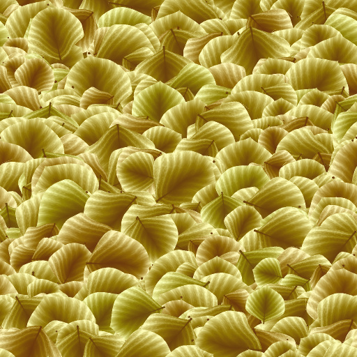 Variation 8