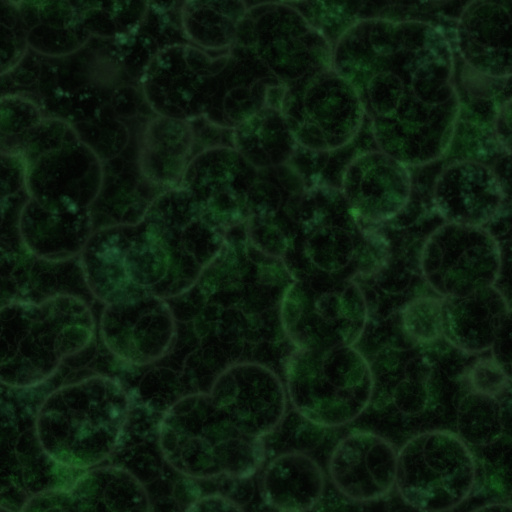 Variation 7