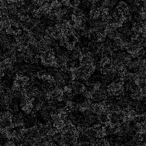 Reflective Occlusion Map