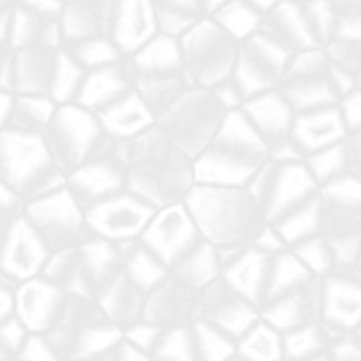 Bump Map