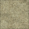 burled wood / textured paper