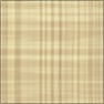 Scrapbook Paper