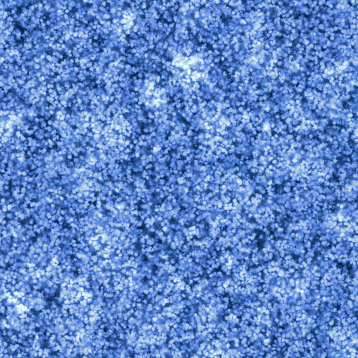 Diffuse Map