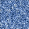 Shag Carpet