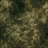 terrain