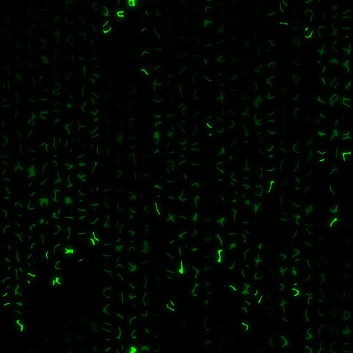 Matrix (Texture)