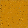 Square Space