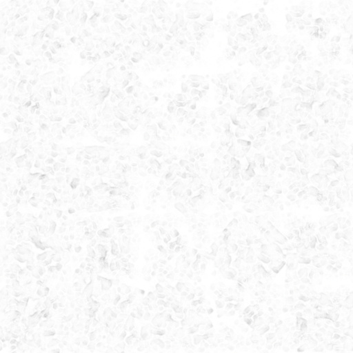 Ambient Occlusion Map