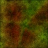 Portrait Backdrop