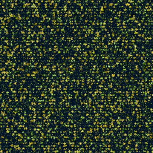 Variation 8