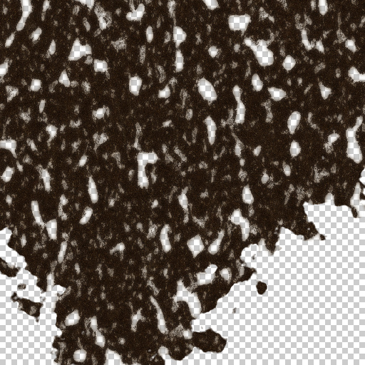 Dirt (Texture)