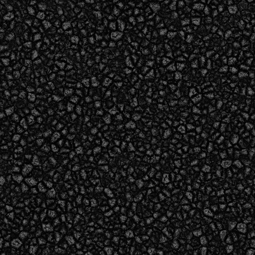 Ambient Occlusion Map
