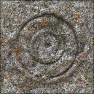 Stoned and Lichen it!