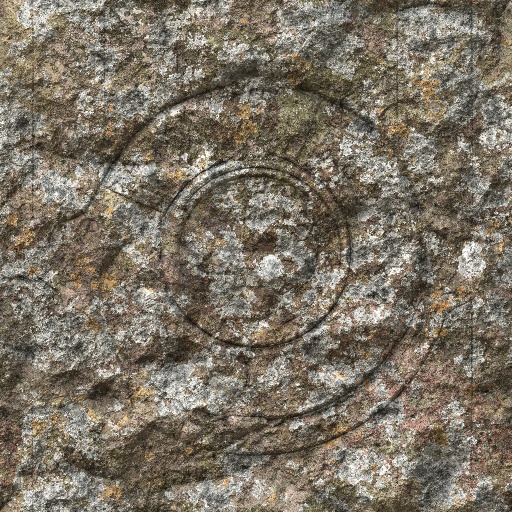 Variation 4