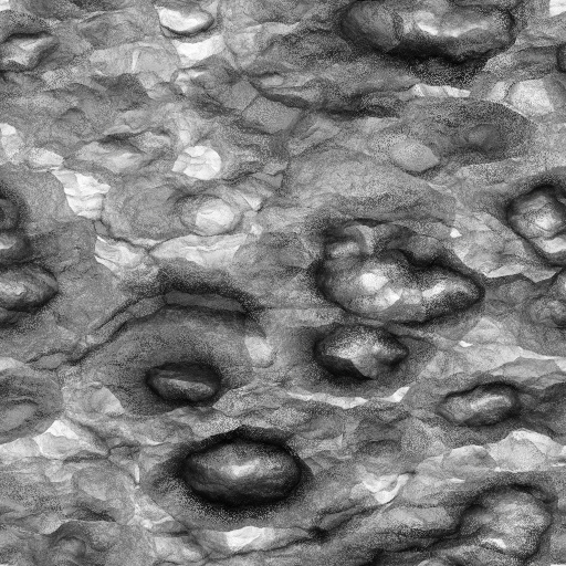 Ambient Occlusion Map