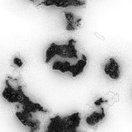 Ambient Occlusion Map