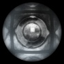 Under a Microscope