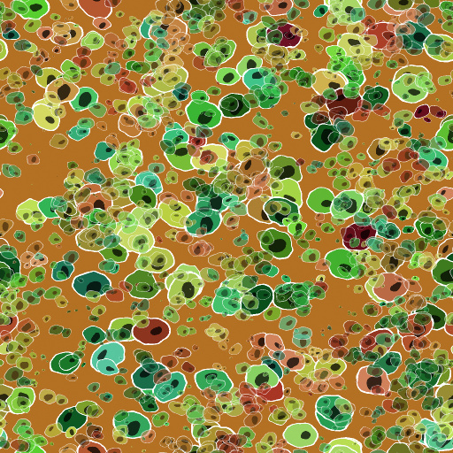 Variation 8
