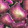 Artificial Surfaces