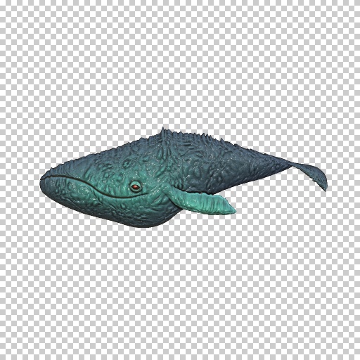 Variation 5