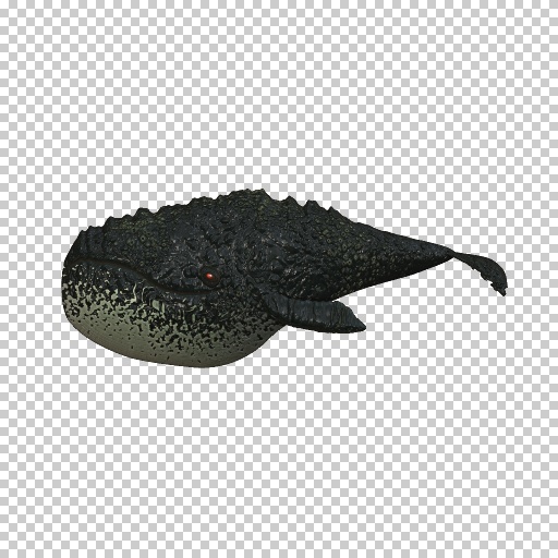 Variation 6