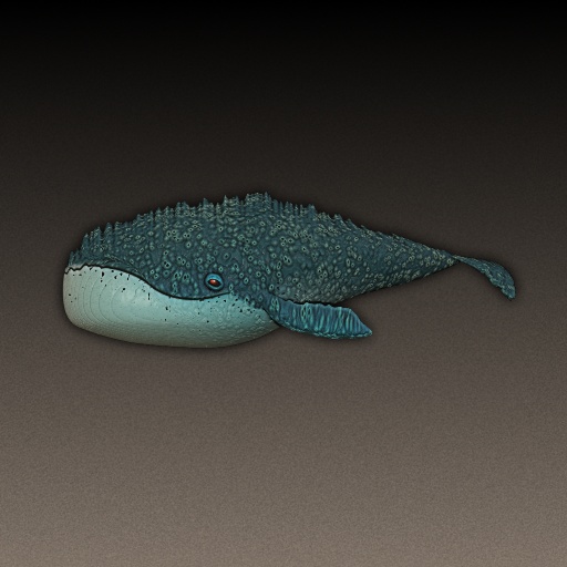 Variation 8