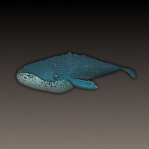 I Dreamt Of Whales (Texture)