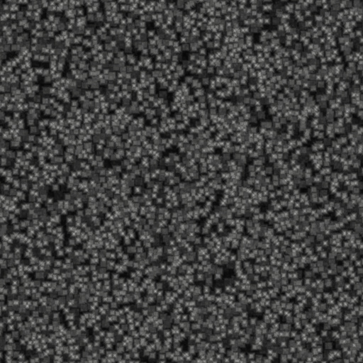 Diffuse Map