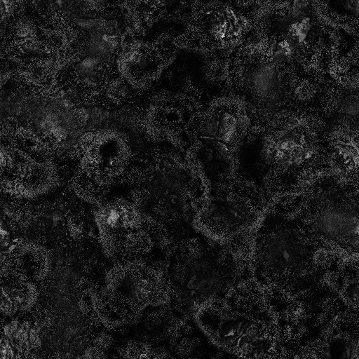 Ambient Occlusion Map