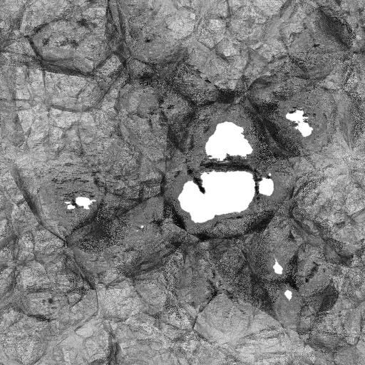 Ambient Occlusion Map