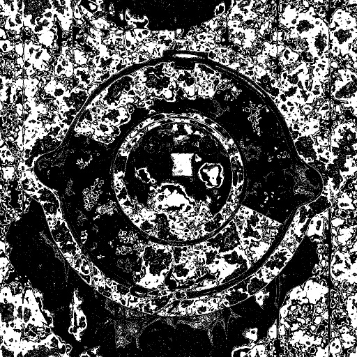 Reflective Occlusion Map