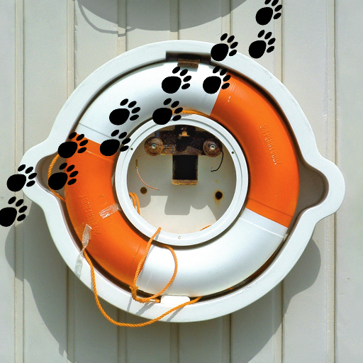 Puppy Prints (Effect)