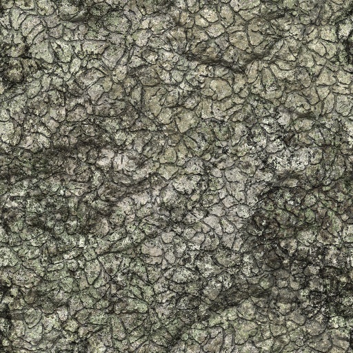 Variation 1