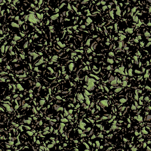 Variation 5