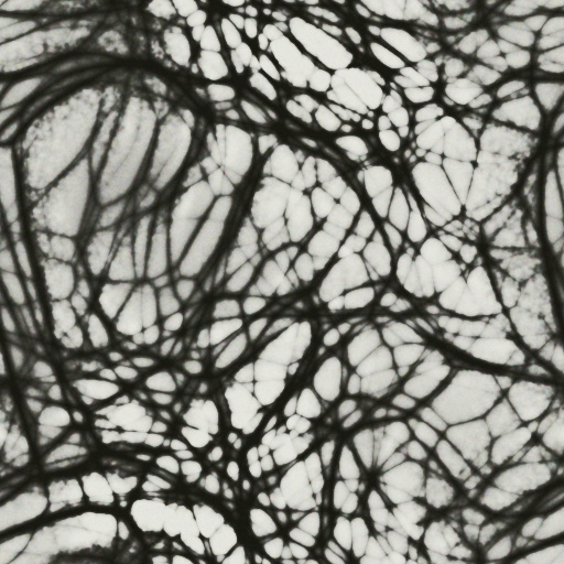 Variation 6