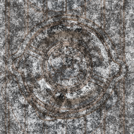 Wall ENgrave (Effect)