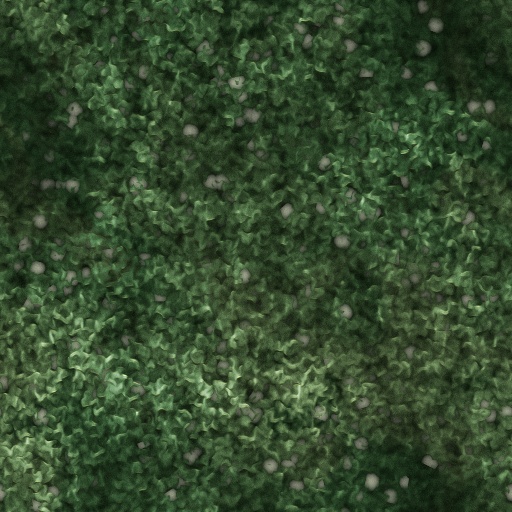 Variation 1