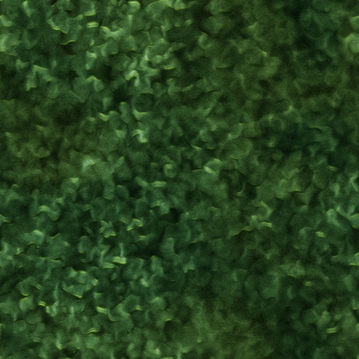 Variation 4