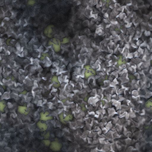 Variation 5