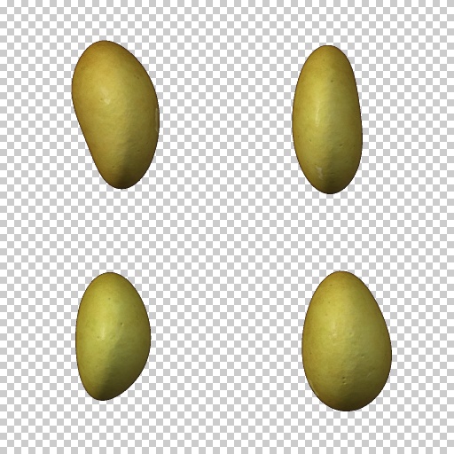 Variation 1
