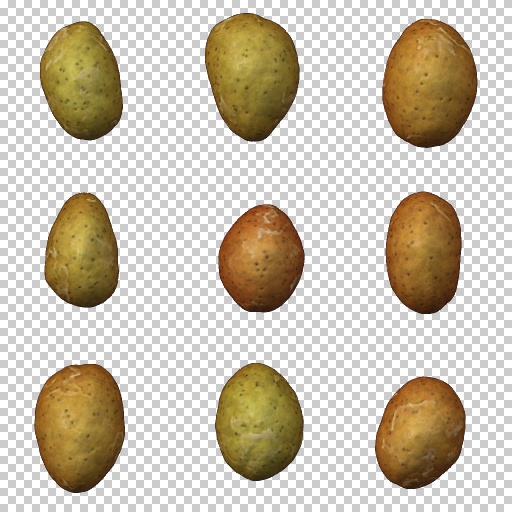 Variation 8