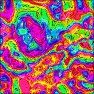 Multicolor