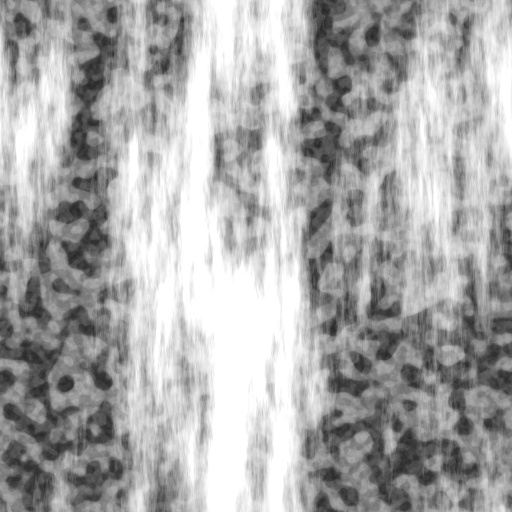 Spec Exponent Map
